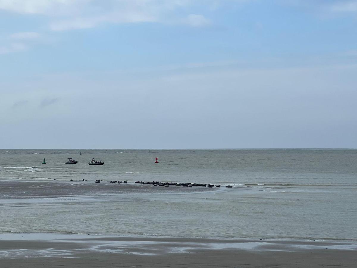 Plage A 50M Appartement Reves Tranquilles Villa Les Bains De Mers Exterior foto